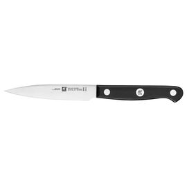 36110-100 zwilling gourmet paring knife